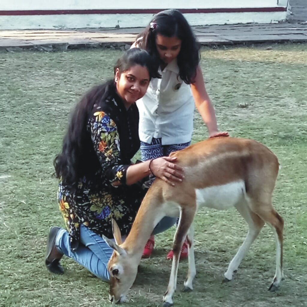 animal 03